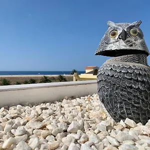 https://estudio-marina.in-canary-islands.com